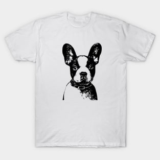 Boston Terrier Pen and Ink Art T-Shirt